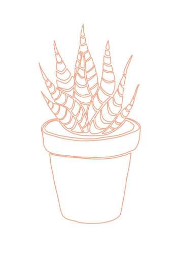 succulents-07.png